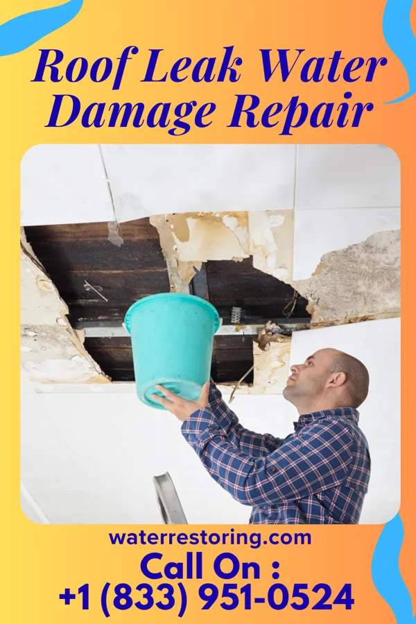 Roof Leak Water Damage Repair in Cambridge, KS